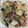 kco_1978's cooksnap of when they made かぶと豚の炒め蒸.