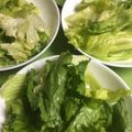 イギりん's cooksnap of when they made お店の味！チョレギレタスサラダ！.