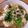 えこ★えこ's cooksnap of when they made 豆腐とかぶの中華あんかけ~♪.