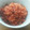 チアワールド's cooksnap of when they made 手作りで安心☆あみえびと鰹節のふりかけ.