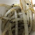 まいぽん28's cooksnap of when they made 一風堂のホットもやし再現.