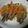 クック鳩゜'s cooksnap of when they made ししゃもと夏野菜のカレー南蛮.