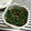 いじゅむ's cooksnap of when they made うこぎのほろほろ.