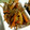 4double5's cooksnap of when they made 簡単　きんぴらごぼう.