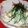 〜みみ〜's cooksnap of when they made 三つ葉と蒲鉾のマヨ和え.