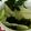 ma___111's cooksnap of when they made 混ぜるだけ♪レタスと海苔のしっとりサラダ.