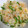 たぬとん's cooksnap of when they made さやえんどうとしらすのご飯.