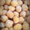 クックSDON41☆'s cooksnap of when they made 圧力鍋で簡単！ひよこ豆の水煮.