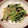 はじめての一人暮らし's cooksnap of when they made 【パパッと】ターサイとえのきの炒め物.