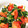 みゆ1126's cooksnap of when they made 簡単☆ほうれん草とトマトのツナサラダ.