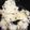 ぷにゅんぷにゅん♡'s cooksnap of when they made バター香る♪ グリーンピースごはん.