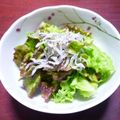 かこ☆かっちゃん's cooksnap of when they made 山口の郷土料理『チシャなます』.