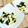 SP♪'s cooksnap of when they made ♡たけのことワカメの辛子和え.