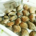 nagatodo's cooksnap of when they made あさりの砂出し.