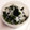 クック海苔's cooksnap of when they made 新玉ねぎとワカメの酢の物.