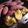 Pcocoon's cooksnap of when they made 【ラクック】で簡単・エコ焼き芋.
