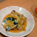 赤きんぎょ16's cooksnap of when they made 簡単！サゴシとネギの煮付け.