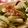 クックVNSB48☆'s cooksnap of when they made 白ネギのレンジ蒸し.