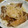★☆ちかひめ☆★'s cooksnap of when they made アジの三枚おろし.