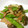 低カロ探検隊's cooksnap of when they made きぬさやとしめじの炒め物.