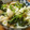 低カロ探検隊's cooksnap of when they made 野菜とお麩の簡単煮物.