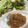 ♡REI♡'s cooksnap of when they made 簡単、さっぱり、和風みぞれタレ.