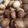 クックRC33P2☆'s cooksnap of when they made 余った卵白でサクッと軽いラングドシャ.
