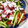 クック93M0DZ☆'s cooksnap of when they made 中華ドレで〜きゅうりとたこの和え物.
