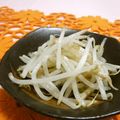 赤い電話's cooksnap of when they made 簡単モヤシのナムル.