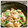 genkiti's cooksnap of when they made ぶり焼きほぐしのちらし寿司　.