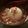 PiggyHappy's cooksnap of when they made 新玉ねぎのほっこりトロトロ煮込み。.