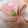 〜tinr～'s cooksnap of when they made ハムときゅうりのお花.