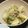 いっちゃん234's cooksnap of when they made かぶとひき肉の煮物（すぐできる煮物）.