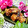 makichihua's cooksnap of when they made たこの竜田揚げ.