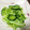 クックETU17D☆'s cooksnap of when they made 簡単！あるもので！だし浅漬け.