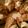 クックVNSB48☆'s cooksnap of when they made ナスの肉詰め.