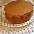 ひなひなミニー's cooksnap of when they made しっとりふわふわスポンジケーキ(新しく).