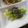 kana叶's cooksnap of when they made ミョウガ竹のゴマ和え.