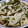 Rick_t's cooksnap of when they made 簡単！豚肉とニラ蓮根の甘酢生姜炒め.