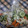 プップマニス's cooksnap of when they made しそふりかけを使った漬け物　.
