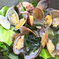 こはる・▽・'s cooksnap of when they made あさりとわかめ、レタスの洋風酒蒸し.