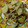 ★Lee☆'s cooksnap of when they made じゃがいもとしめじのマスタード炒め.