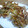 niconoco's cooksnap of when they made サクサク☆簡単！こうなごの天ぷら♪.