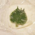 Sようよう's cooksnap of when they made 大葉の保存方法.