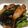 クックG5A8W4☆'s cooksnap of when they made 簡単☆鶏むね肉の照り焼き.