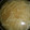 もりのりころ's cooksnap of when they made もやしとワカメの中華スープ.