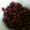 warmsky's cooksnap of when they made 素揚げ落花生.
