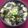 nosso's cooksnap of when they made うまい！！たまごかけごはん☆.