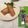 ナピト's cooksnap of when they made 手作り春巻き.