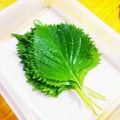 ちえたろう's cooksnap of when they made 大葉の保存.
